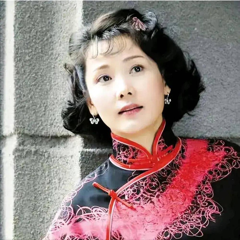 何赛飞