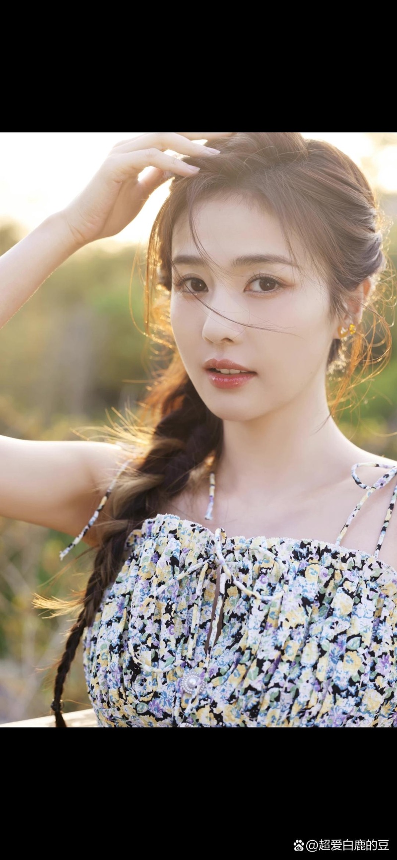 白鹿